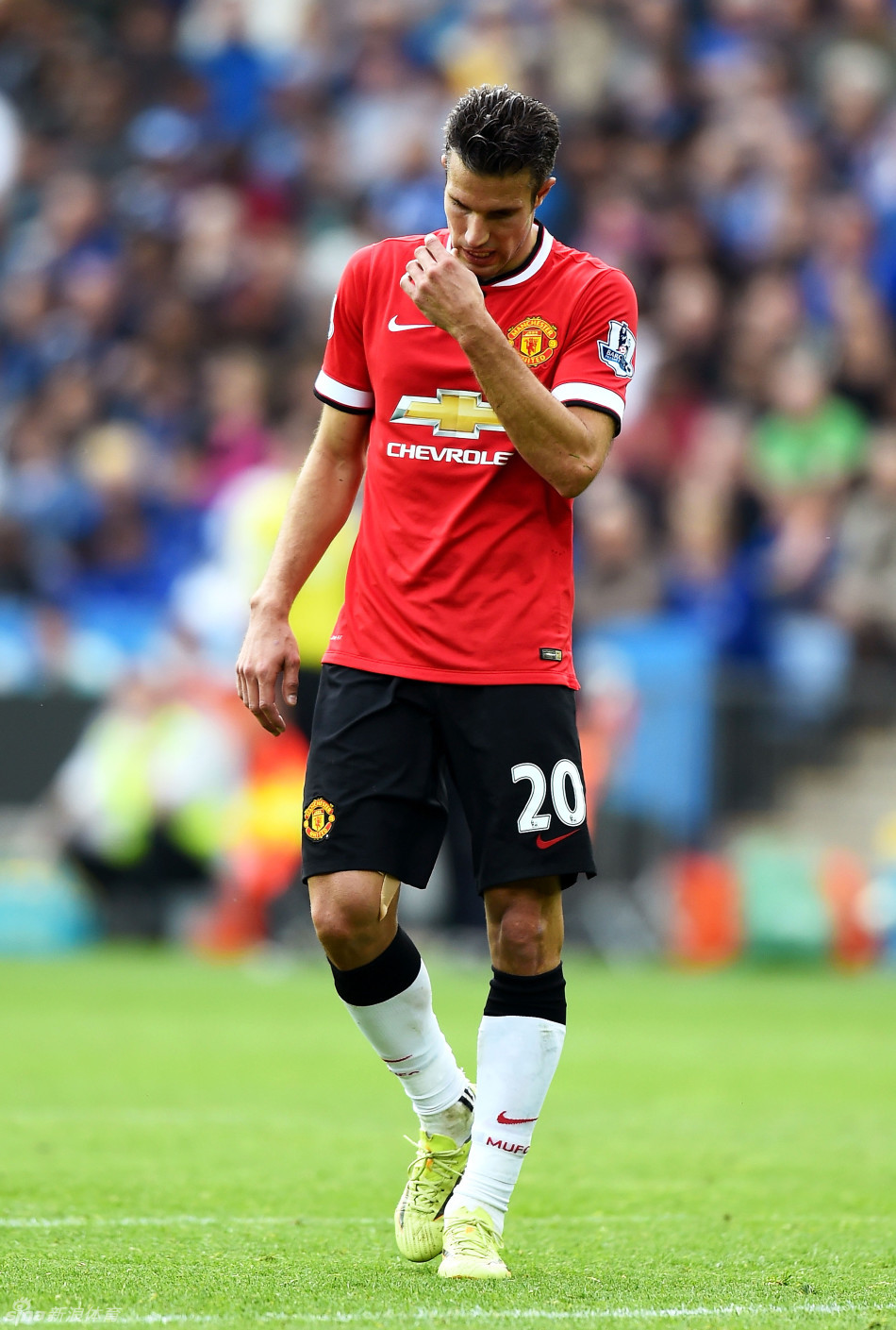 西班牙、比利时等5队出线，欧洲12队获直通世界杯入场券（西班牙、比利时领衔5队出线，欧洲直通世界杯球队达12支）